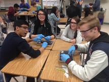 Students working on a experiment on their desks